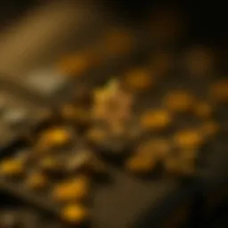 Exodus Wallet logo showcasing its branding